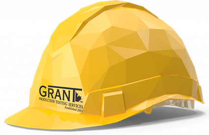Polygonal Hard Hat With Grant PTS Logo